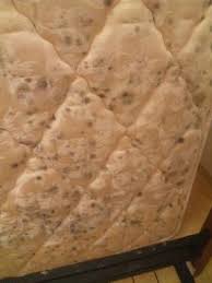 all about mold on mattresses choose