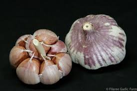 Image result for how to plant garlic seeds