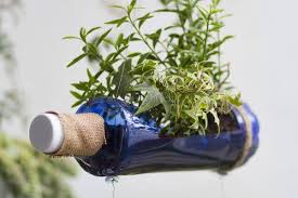 use these 20 inspiring bottle garden ideas