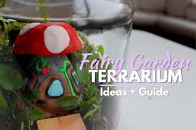 magical fairy garden terrarium guide
