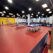 top 10 best ping pong in markham on