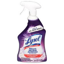 save on lysol mold mildew remover