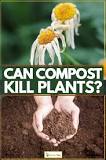 Can too much compost hurt plants?
