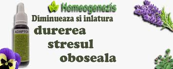 Homeogenezis - https://www.homeogenezis.com/cumpara/adaptor-5621 | Facebook