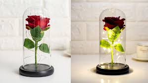 Perfect Rose Flower Gift Create A