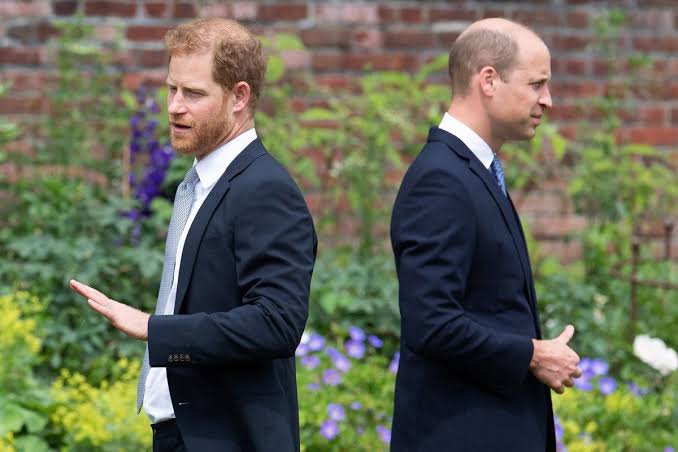 Prince Harry's surprise outburst after Prince William claimed he 'didn't want to be king' - The Mirror