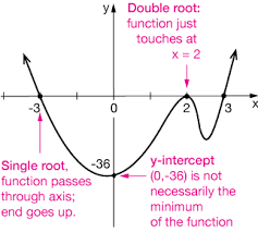 graphing polynomial functions