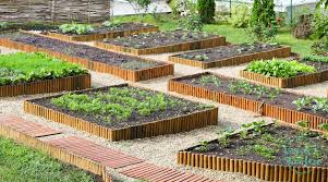 Community Garden Projects A Useful