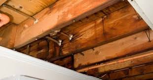 repair a leaking ceiling