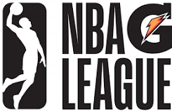 who-owns-the-g-league