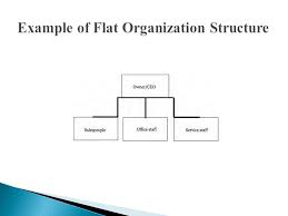 Organization Structures Ppt Video Online Download
