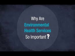 why are environmental health services