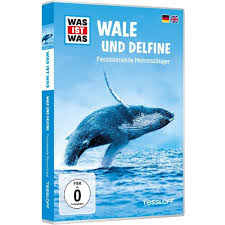 Über 40.000 filme auf dvd bei thalia ✔ »was ist was dvd spinnen« und weitere dvd filme jetzt online bestellen! Universal Pictures Was Ist Was Dvd Wale Und Delphine