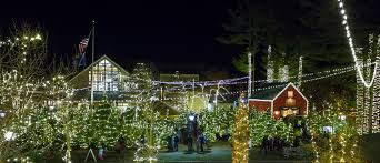 L L Bean Lights Up The Holidays With Northern Lights