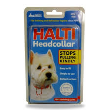 Halti Headcollar The Company Of Animals