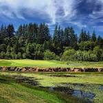 Salmon Run Golf Course (Brookings) - All You Need to Know BEFORE ...