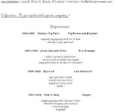 Resume Examples For Retail Jobs Resume Example First Job Good Resume