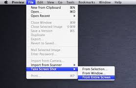 You Can Capture Save Screen Shots With Preview In Mac Os X