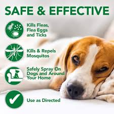 flea treatment for dogs