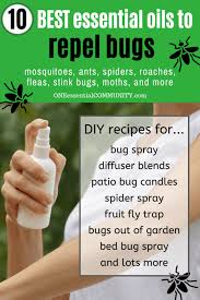 repel bugs bug spray recipe