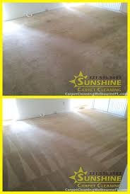sunshine carpet cleaning