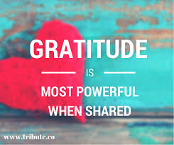 Image result for sharing gratitude
