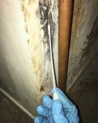 Prevent Mold Growth In Your Basement