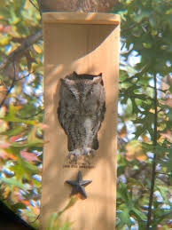 Owl House Screech Owl Nesting Box Cedar