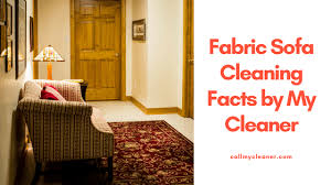 fabric sofa cleaning facts by my