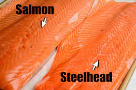steelhead vs salmon kitchen laughter