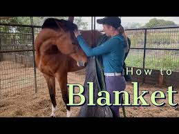 how to blanket and unblanket your horse