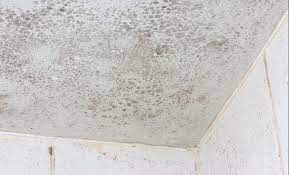 How To Clean Bathroom Ceiling Mold