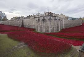 the poppies at the tower of london
