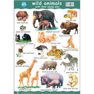 Buy Wild Animals With Their Young Ones Apple Educational