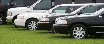 Image result for limo picture
