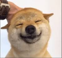 Search, discover and share your favorite dogecoin gifs. Doge Dogecoin Gif By Shibetoshi Nakamoto Find Share On Giphy