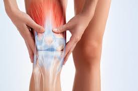 Es besteht aus mehreren bauteilen und strukturen, die es gut beweglich machen: Knieschmerzen Ursache Diagnose Therapie Sos Tipps Lebensfreude Aktuell