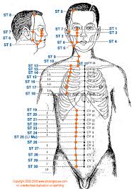 St Stomach Meridian Graphic Chinese Medicine Theory