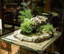 Indoor Miniature Japanese Garden