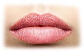 permanent lip makeup in latham ny