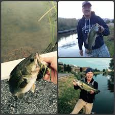 2 spots kids can enjoy fishing from the shore with a little shade from nearby trees. Bass Fishing Ponds
