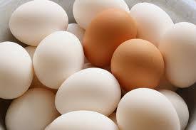 Everything You Ever Wanted To Know About Chicken Eggs