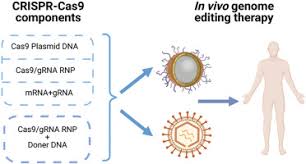 in vivo delivery of crispr cas9