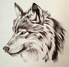 Feel free to explore, study and enjoy paintings with paintingvalley.com. Black And White Wolf Drawing At Paintingvalley Com Explore Collection Of Black And White Wolf Drawing