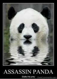 75 mad panda memes funny pictures