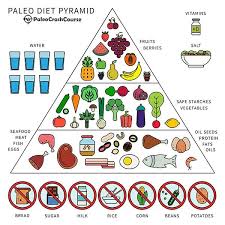 What Is The Paleo Diet All You Need To Know Paleo Diet