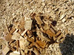 wood chips birch tree bark stone