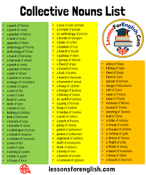 60 Collective Nouns List in English - Lessons For English
