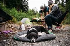 How do you camp with your dog?