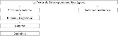Chapitre 15: les Modalités de développement Stratégique